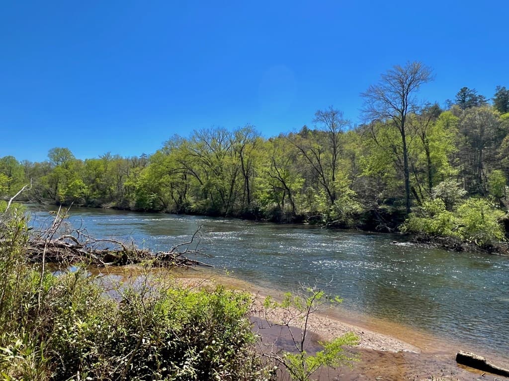 00 Toccoa River Forest, Mineral Bluff GA 30559 - Photo