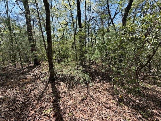 Lot 9 Marjorie Avenue, Ellijay GA 30536 - Photo