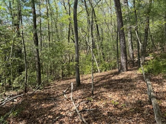 Lot 9 Marjorie Avenue, Ellijay GA 30536 - Primary photo