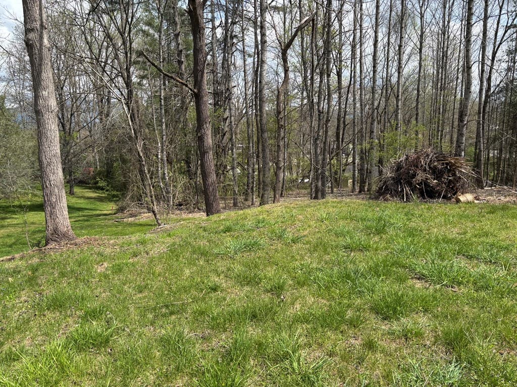 0 Palmer Road, Hayesville NC 28904 - Photo
