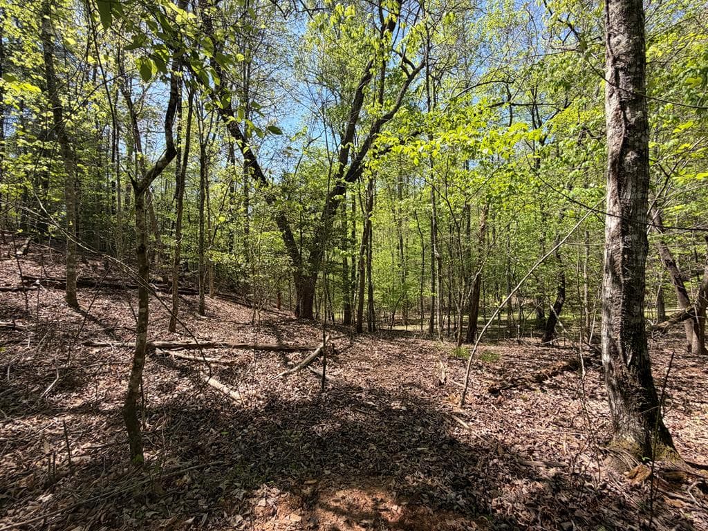 Lot 5 Riverbend Manor, Blue Ridge GA 30513 - Photo