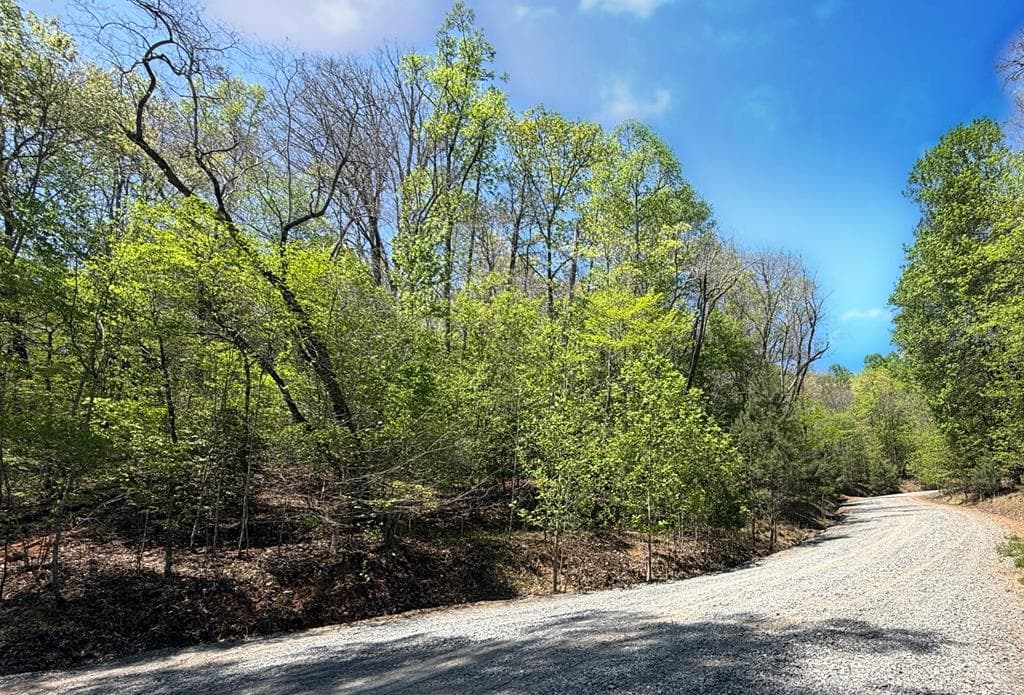 Lot 5 Riverbend Manor, Blue Ridge GA 30513 - Photo