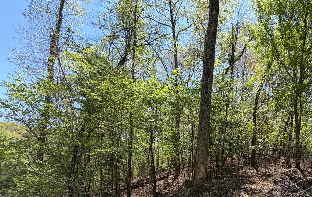 Lot 5 Riverbend Manor, Blue Ridge GA 30513 - Photo