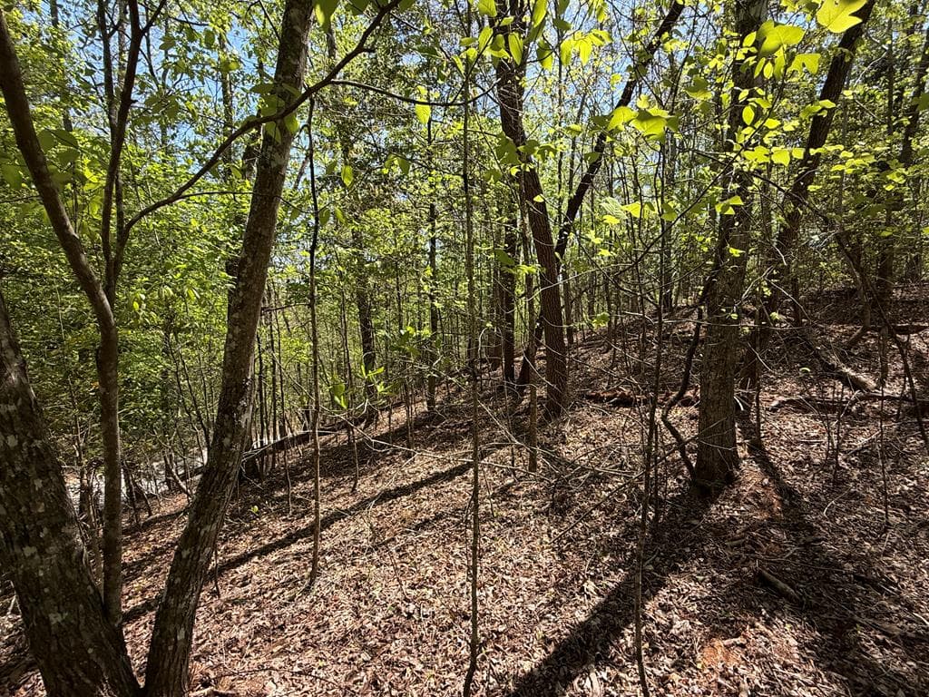 Lot 5 Riverbend Manor, Blue Ridge GA 30513 - Photo