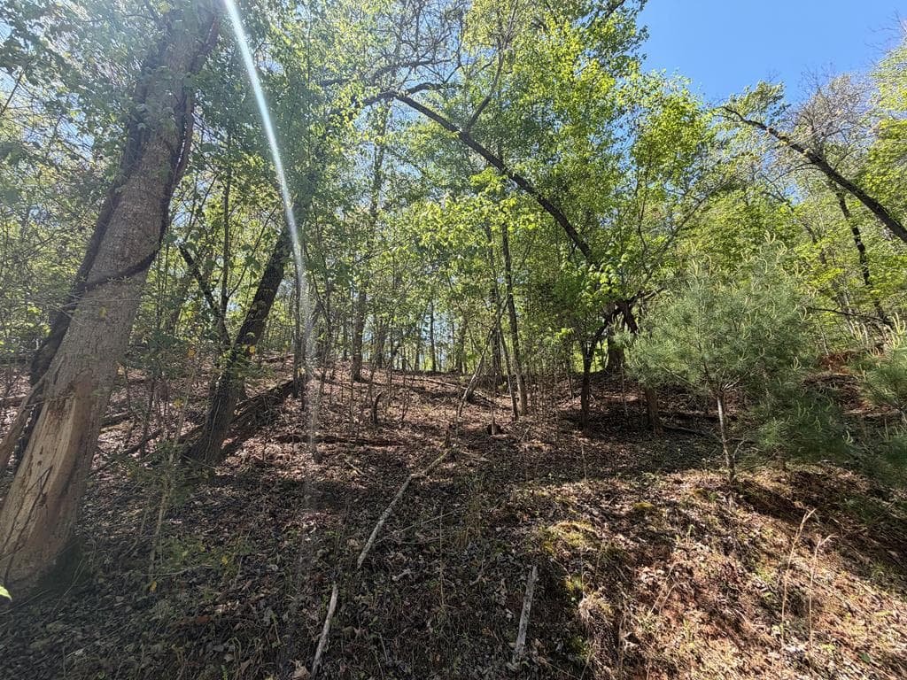 Lot 5 Riverbend Manor, Blue Ridge GA 30513 - Photo