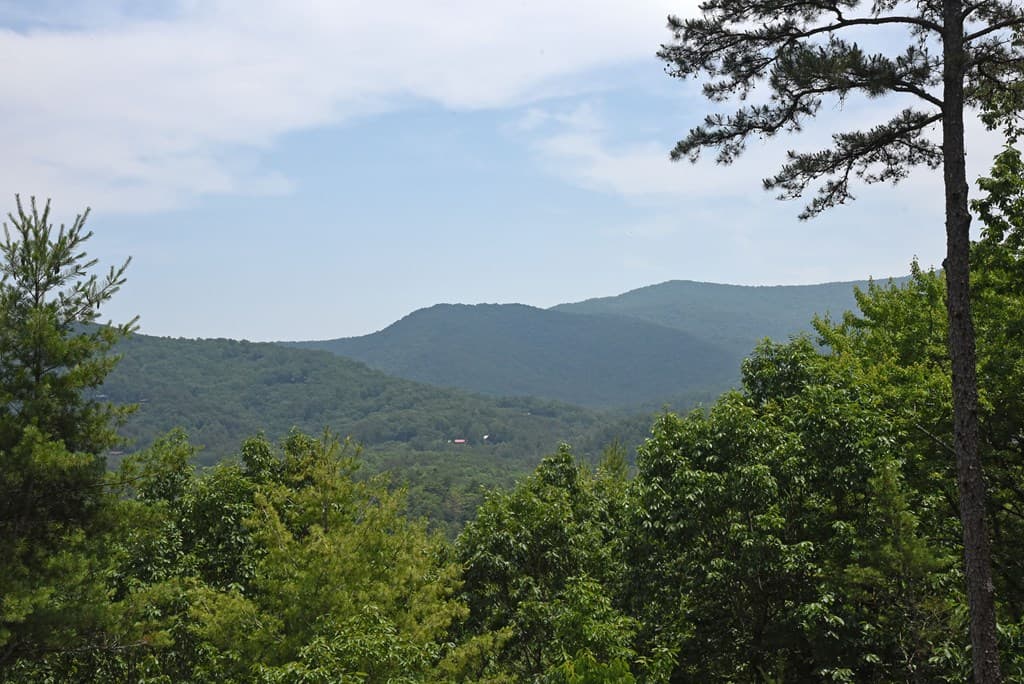 73 Rosiey Lane, Blue Ridge GA 30513 - Photo
