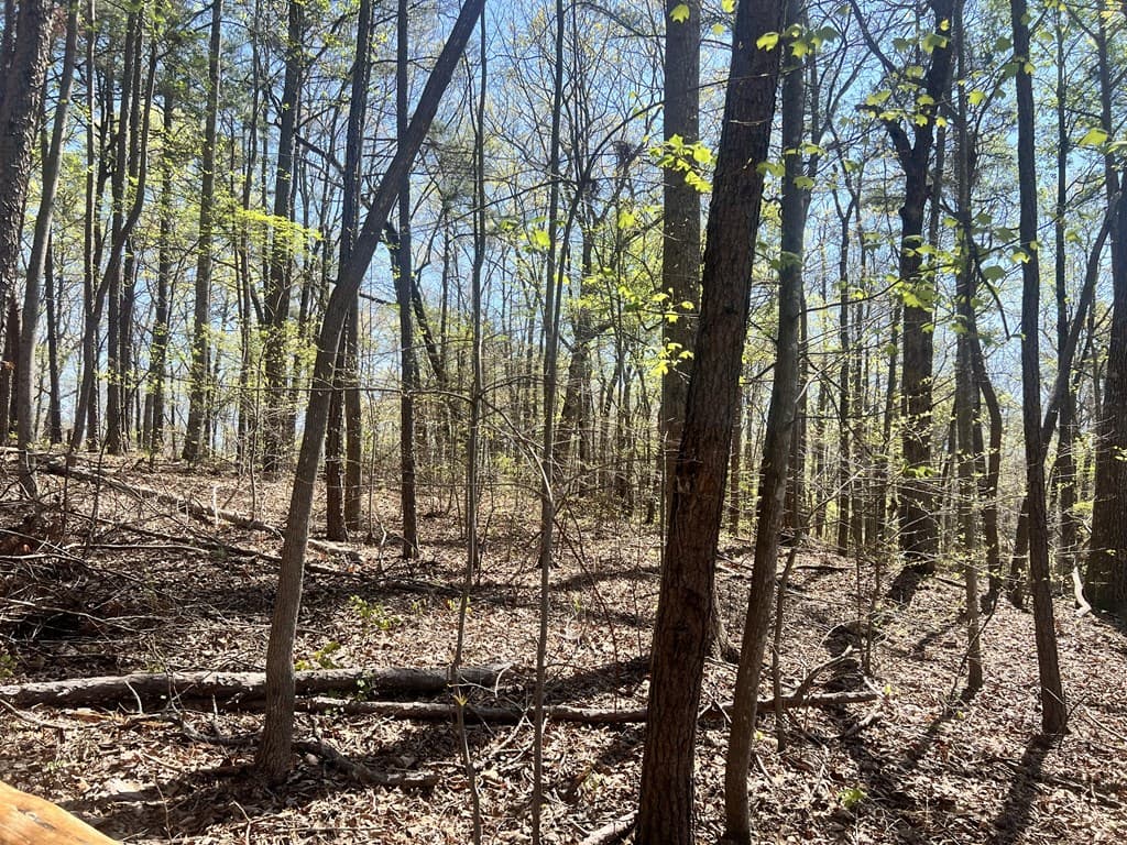 Lot 92 Doll Mountain Road, Ellijay GA 30540 - Photo