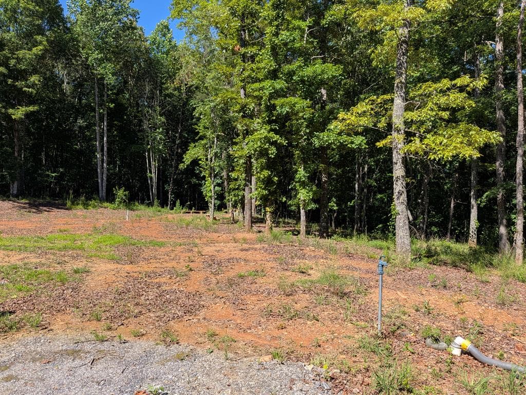 12 Daisy Drive, Brasstown NC 28902 - Photo