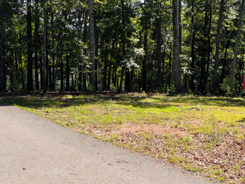 12 Daisy Drive, Brasstown NC 28902 - Photo