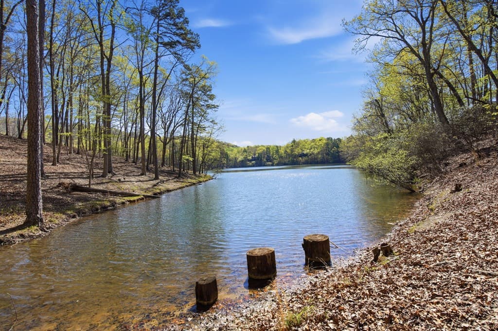 33 Kingfisher Point, Big Canoe GA 30143 - Photo