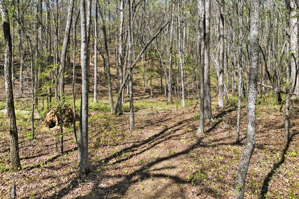 3102 Flat Bottom Road, Ball Ground GA 30107 - Photo