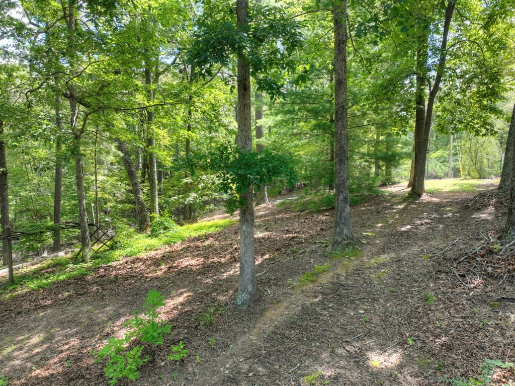 88 Wagon Tracks Ridge, Mineral Bluff GA 30559 - Photo