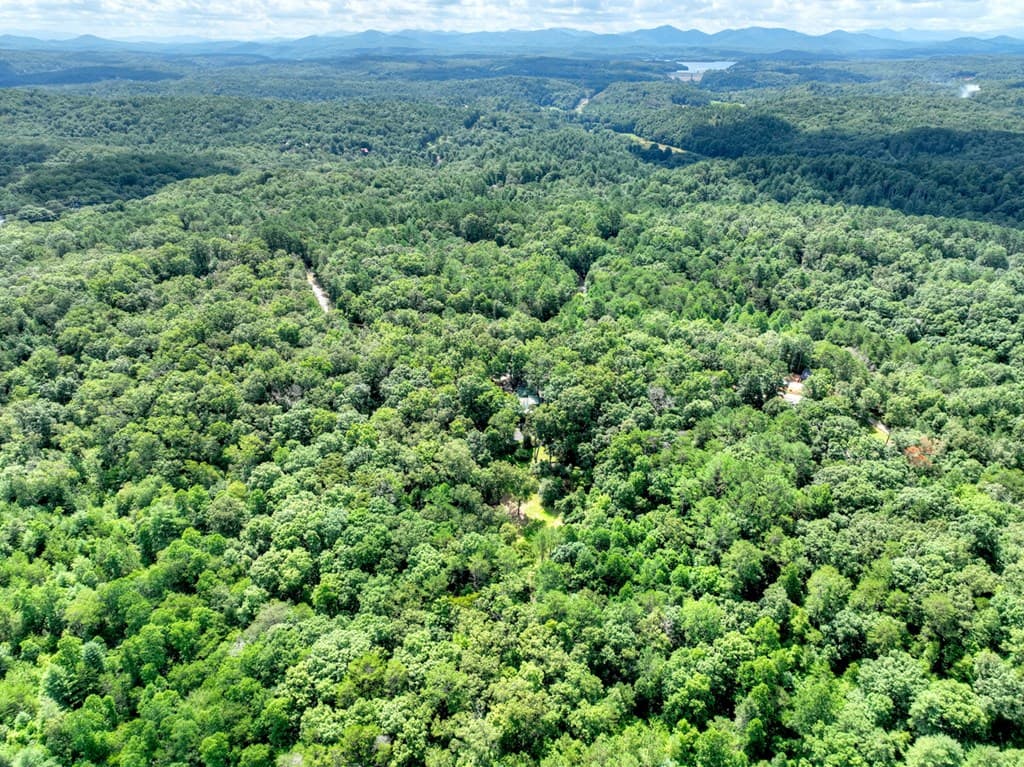 88 Wagon Tracks Ridge, Mineral Bluff GA 30559 - Photo