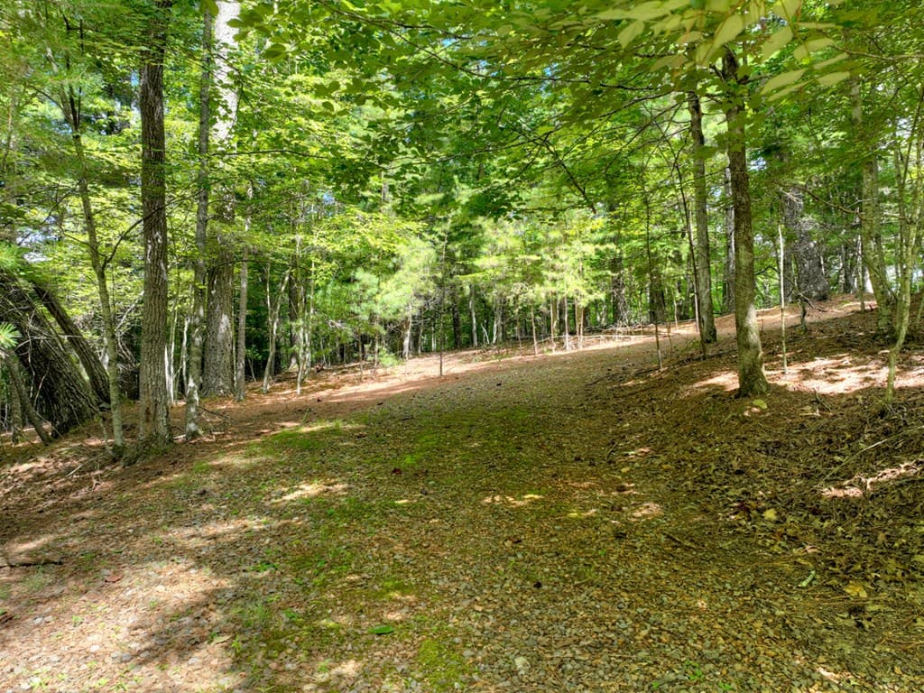88 Wagon Tracks Ridge, Mineral Bluff GA 30559 - Photo