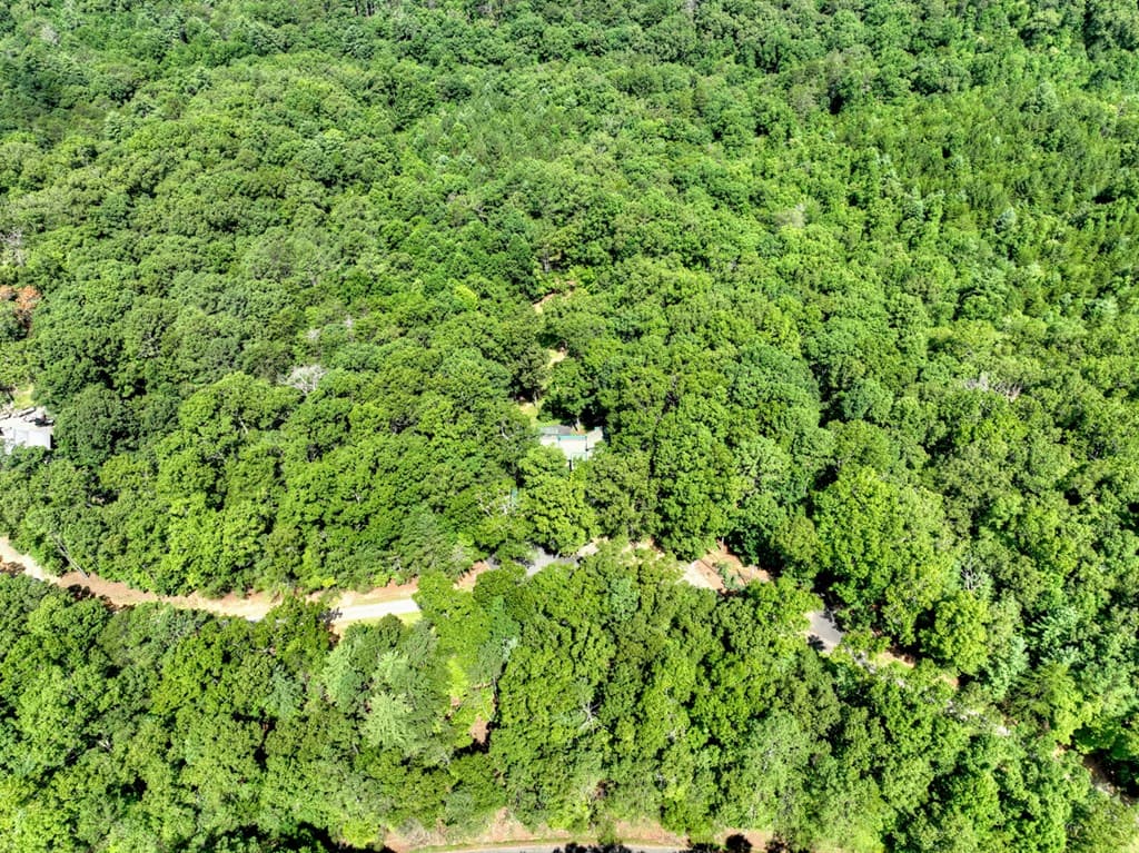88 Wagon Tracks Ridge, Mineral Bluff GA 30559 - Photo