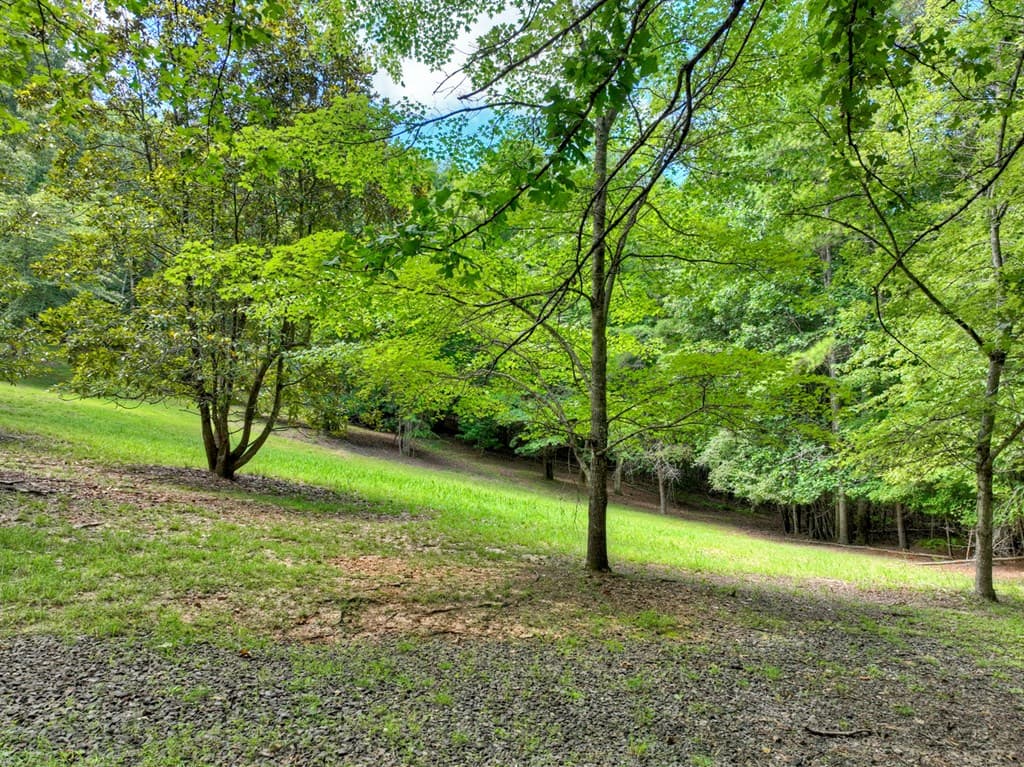 88 Wagon Tracks Ridge, Mineral Bluff GA 30559 - Photo