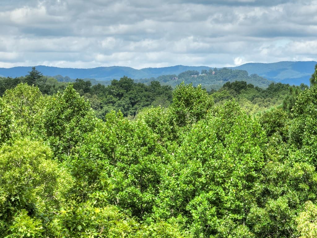 88 Wagon Tracks Ridge, Mineral Bluff GA 30559 - Photo
