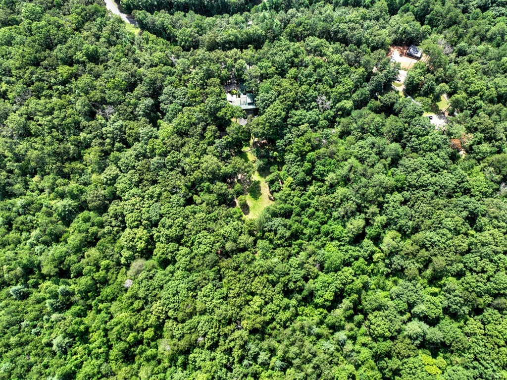 88 Wagon Tracks Ridge, Mineral Bluff GA 30559 - Photo