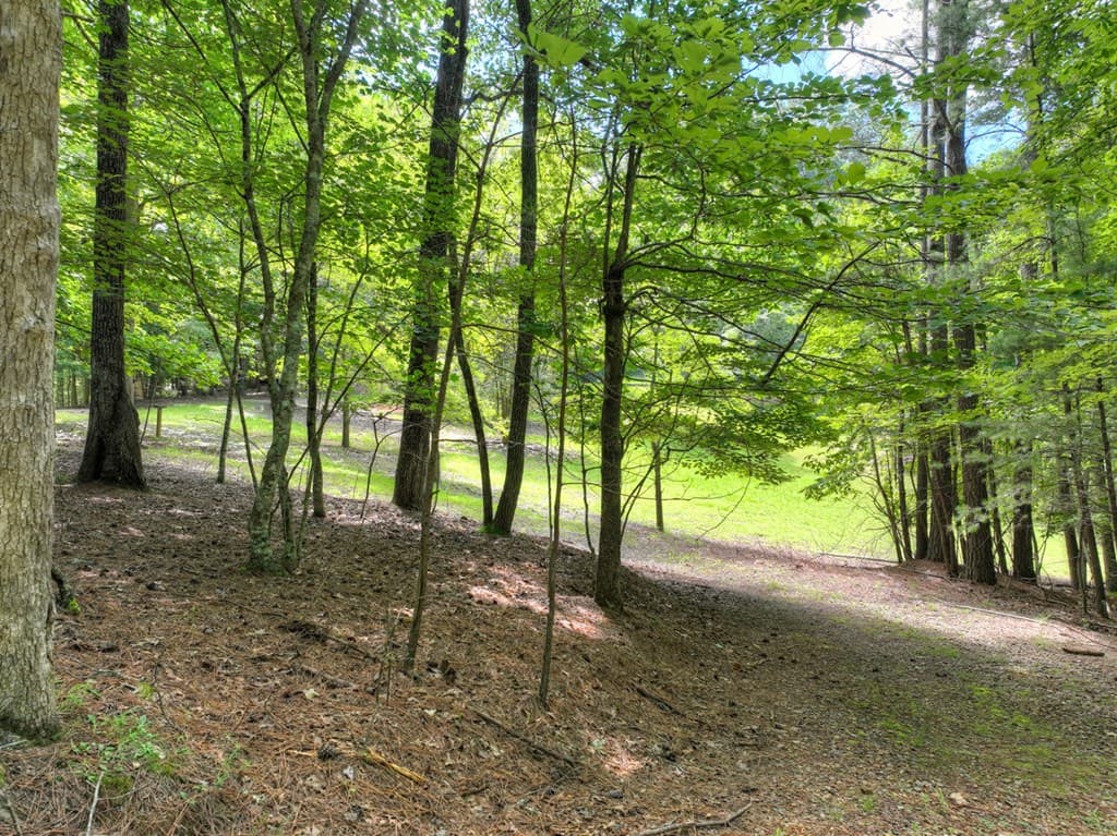 88 Wagon Tracks Ridge, Mineral Bluff GA 30559 - Photo