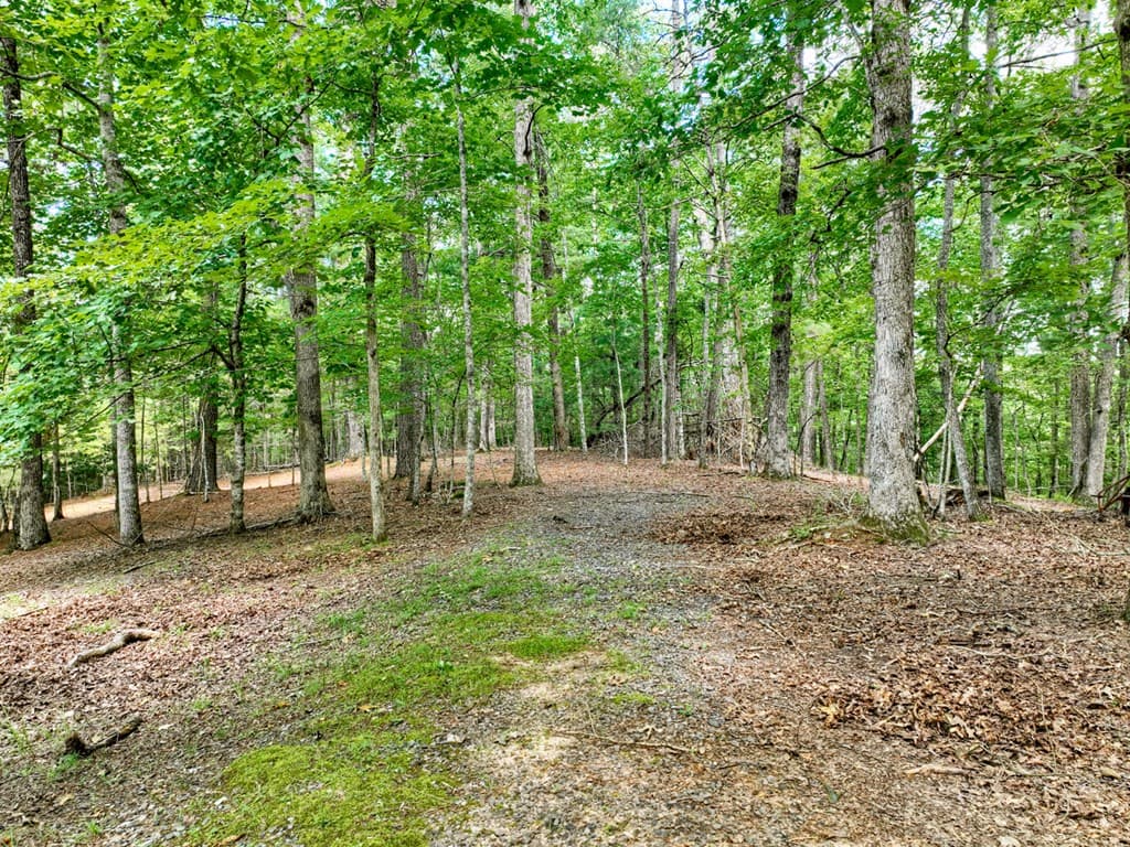 88 Wagon Tracks Ridge, Mineral Bluff GA 30559 - Photo