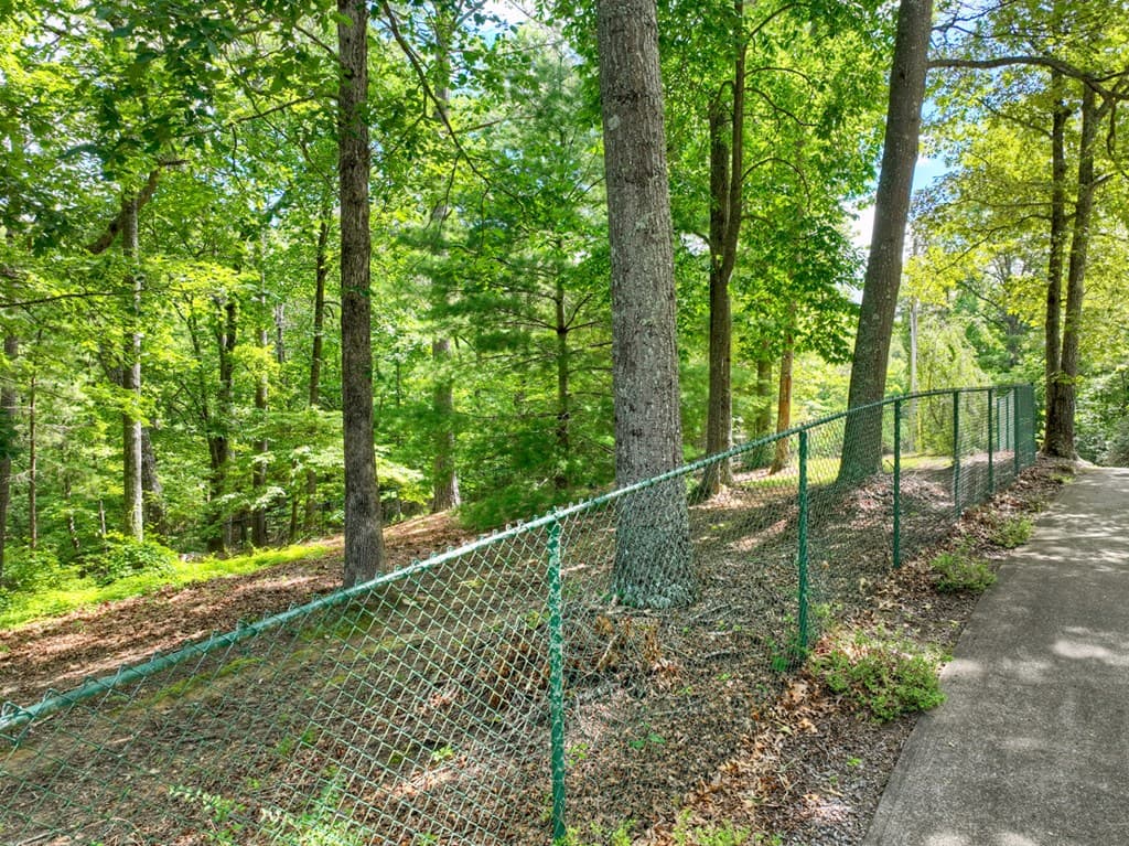 88 Wagon Tracks Ridge, Mineral Bluff GA 30559 - Photo