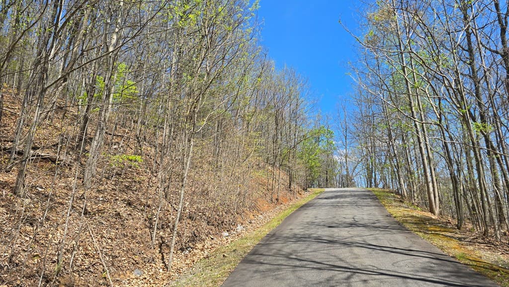 Lot 18 Overlook Loop, Young Harris GA 30582 - Photo