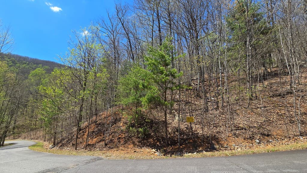 Lot 18 Overlook Loop, Young Harris GA 30582 - Photo