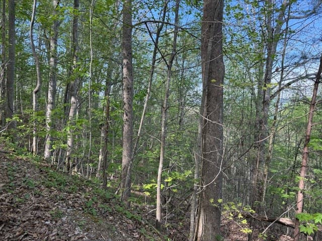 00 Mining Gap Road, Young Harris GA 30582 - Photo