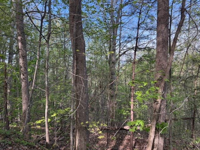 00 Mining Gap Road, Young Harris GA 30582 - Photo