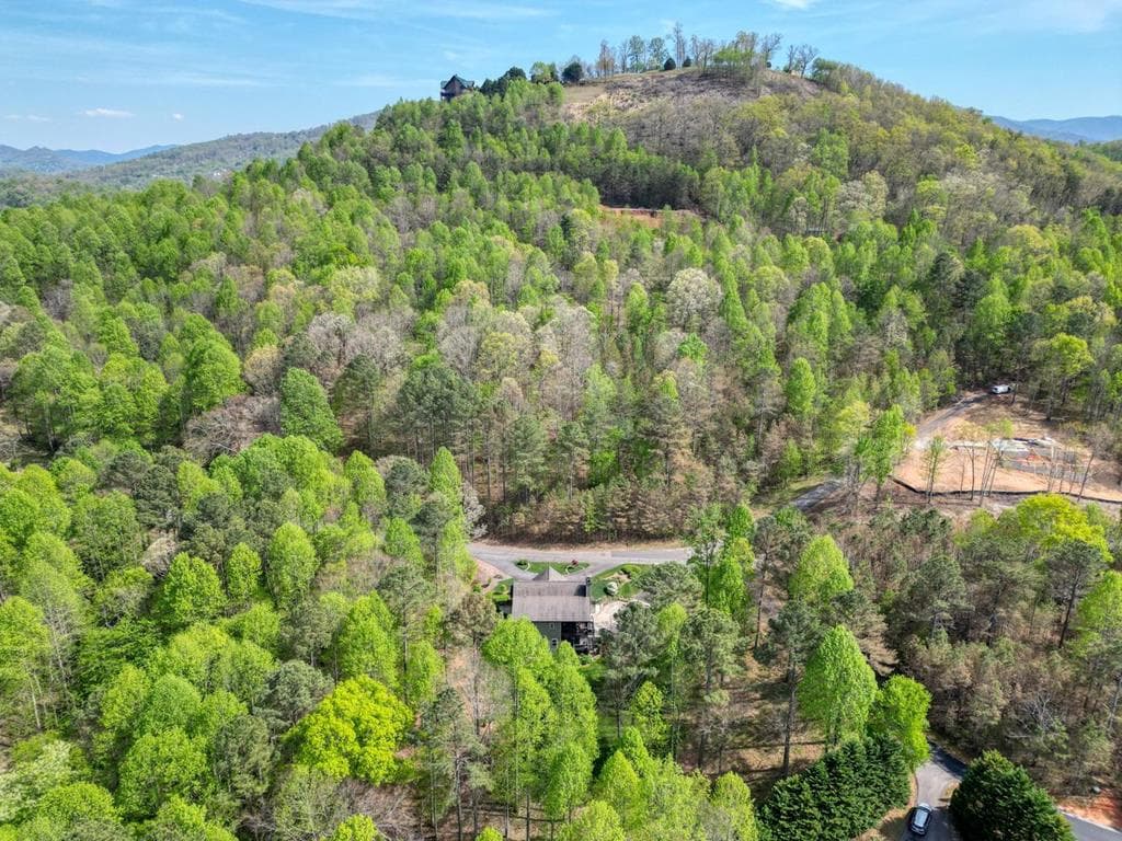338 Meadow Brooke Drive, Young Harris GA 30582 - Photo