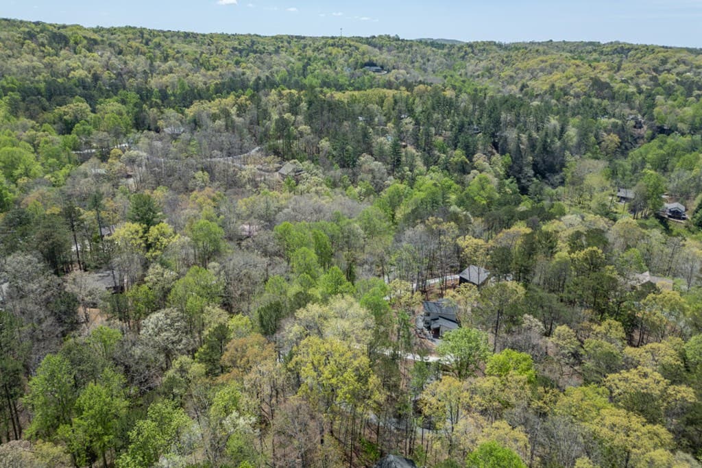 164 Echo Lane, Ellijay GA 30540 - Photo