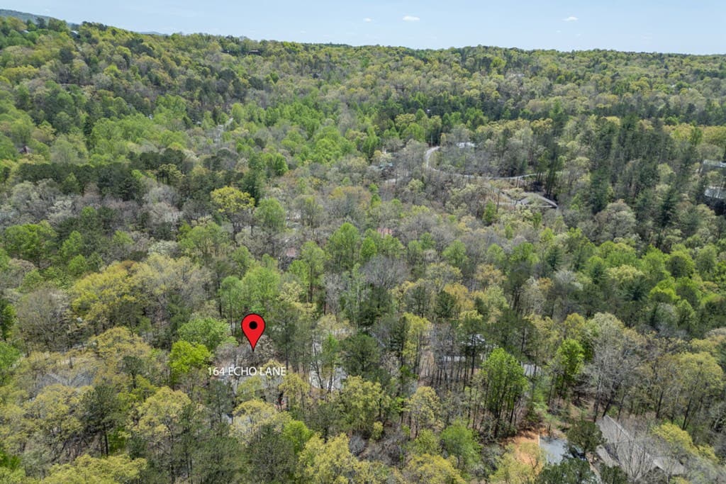 164 Echo Lane, Ellijay GA 30540 - Photo