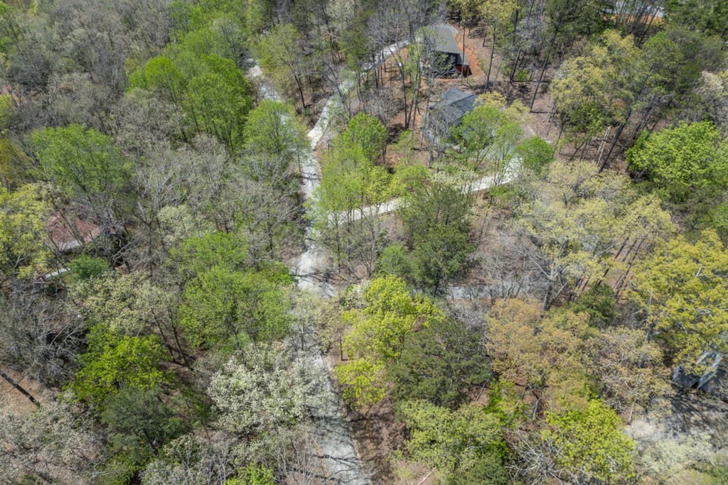 164 Echo Lane, Ellijay GA 30540 - Photo