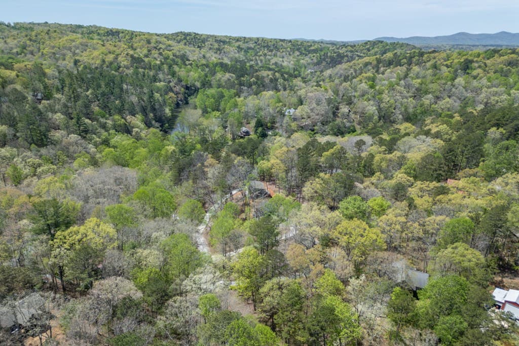 164 Echo Lane, Ellijay GA 30540 - Photo