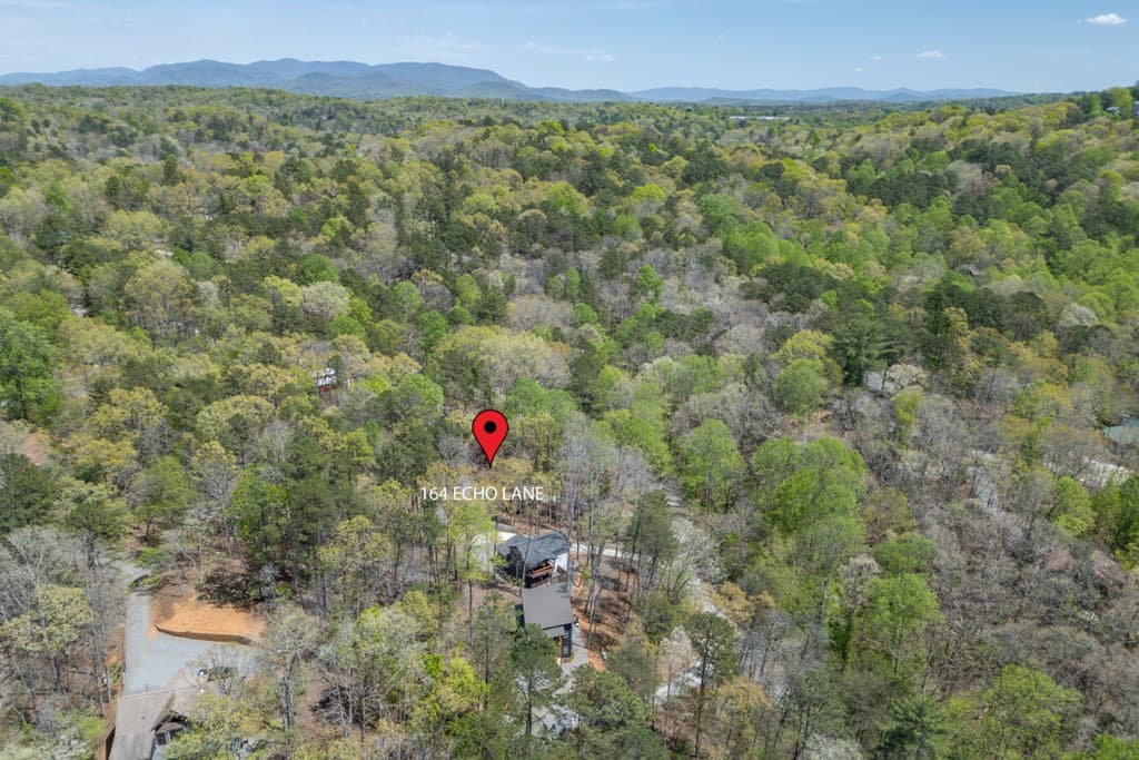 164 Echo Lane, Ellijay GA 30540 - Photo