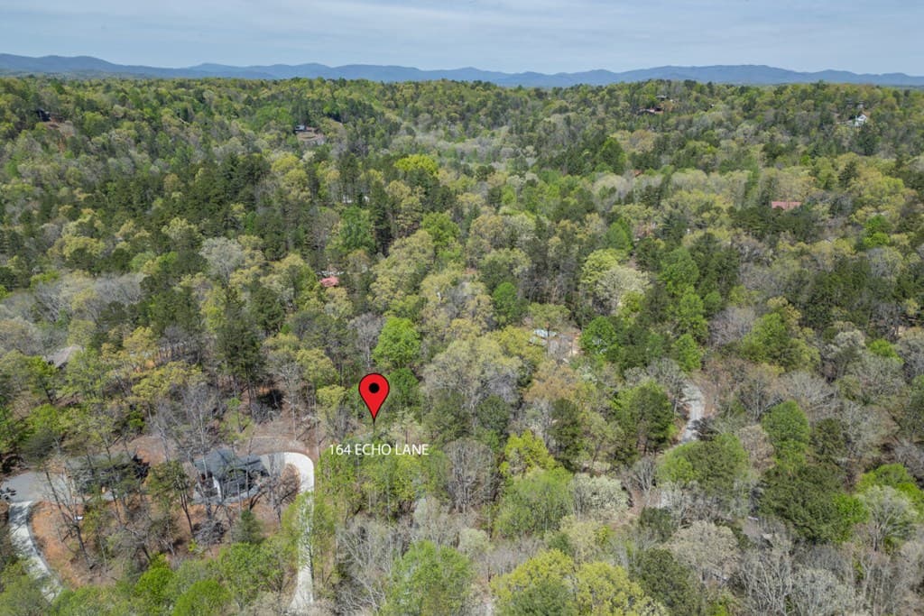 164 Echo Lane, Ellijay GA 30540 - Photo