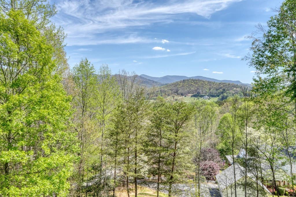 315 Wildwood Brook, Blairsville GA 30512 - Photo