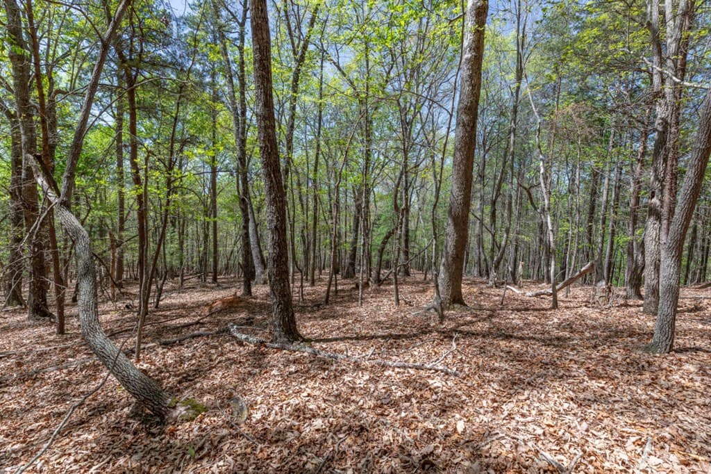 Lot 253 The Cove @ 1300, Blairsville GA 30512 - Photo