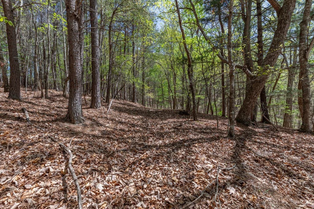 Lot 253 The Cove @ 1300, Blairsville GA 30512 - Photo