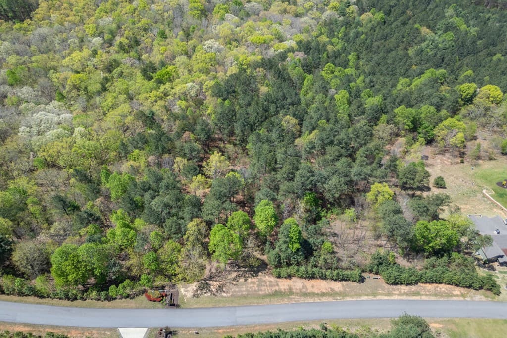 Lot 253 The Cove @ 1300, Blairsville GA 30512 - Photo