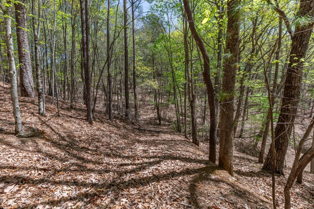 Lot 253 The Cove @ 1300, Blairsville GA 30512 - Photo