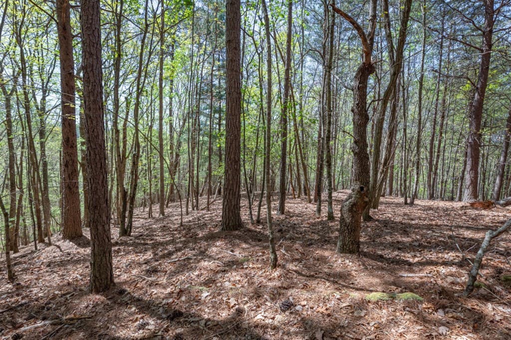 Lot 253 The Cove @ 1300, Blairsville GA 30512 - Photo