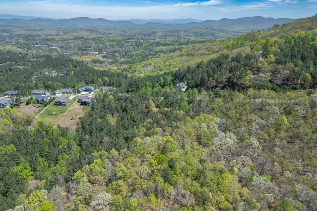 Lot 253 The Cove @ 1300, Blairsville GA 30512 - Photo