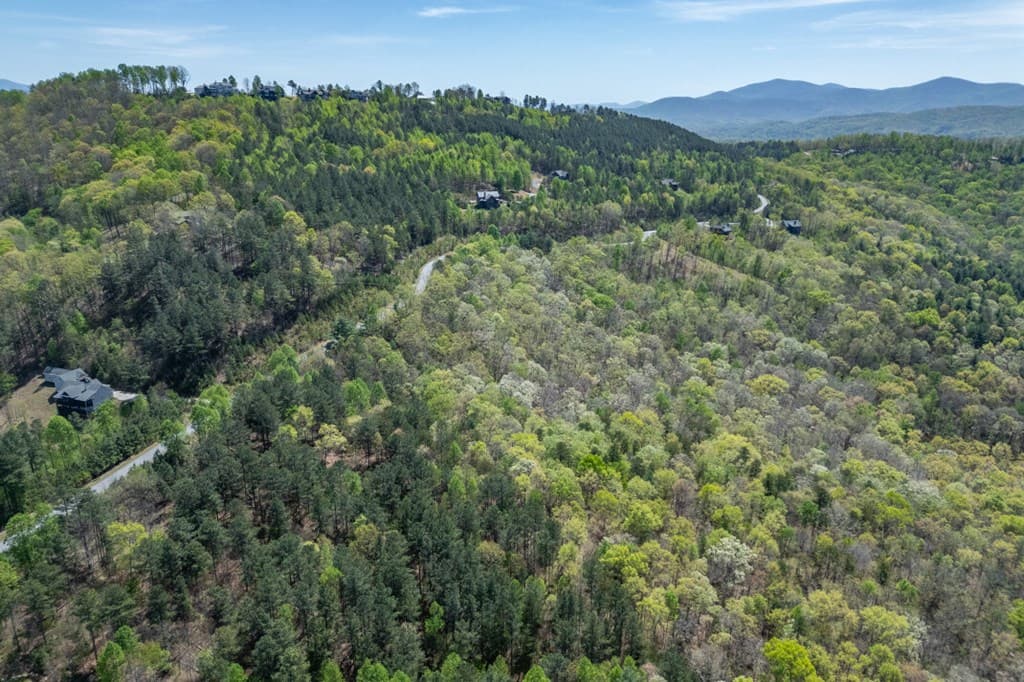 Lot 253 The Cove @ 1300, Blairsville GA 30512 - Photo