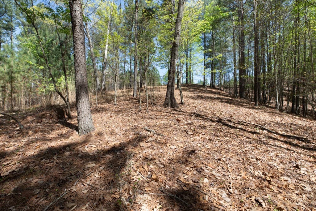 Lot 253 The Cove @ 1300, Blairsville GA 30512 - Photo