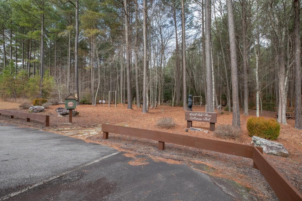 Lot 253 The Cove @ 1300, Blairsville GA 30512 - Photo