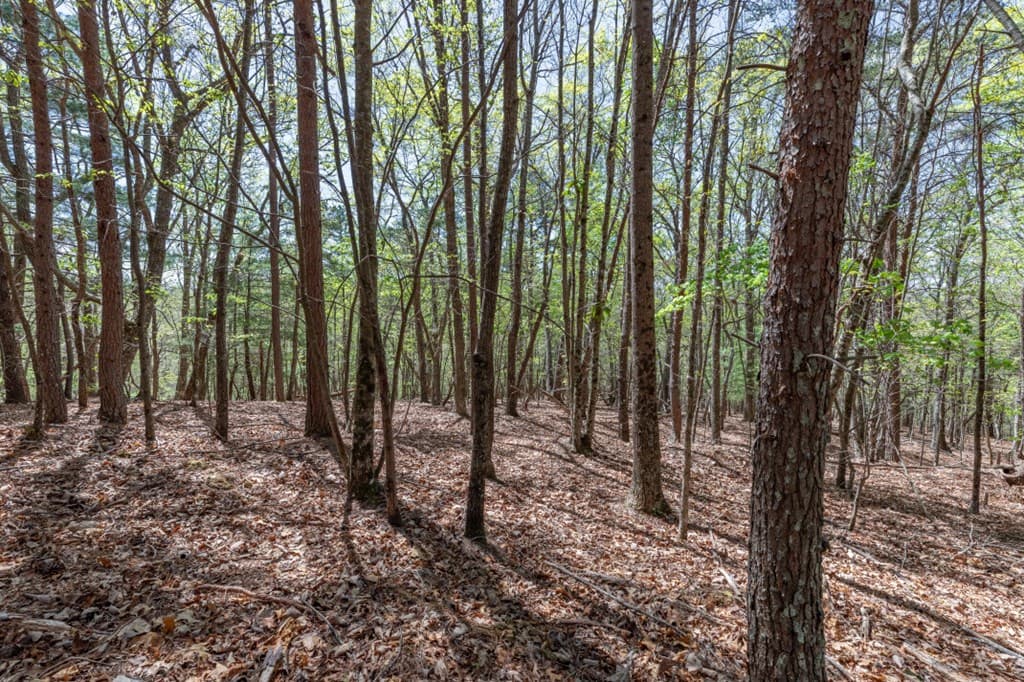 Lot 253 The Cove @ 1300, Blairsville GA 30512 - Photo