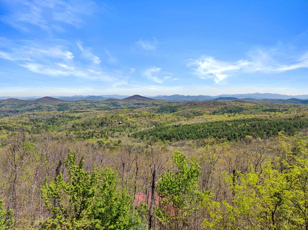 220 Eagle Ridge, Morganton GA 30560 - Photo