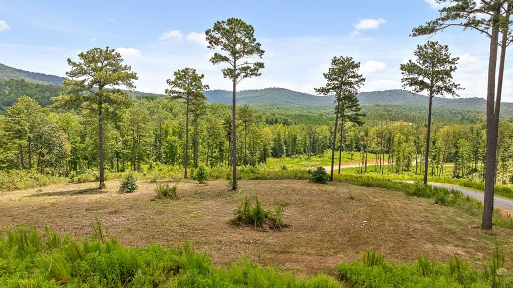 825 Oak Park Drive, Talking Rock GA 30175 - Photo