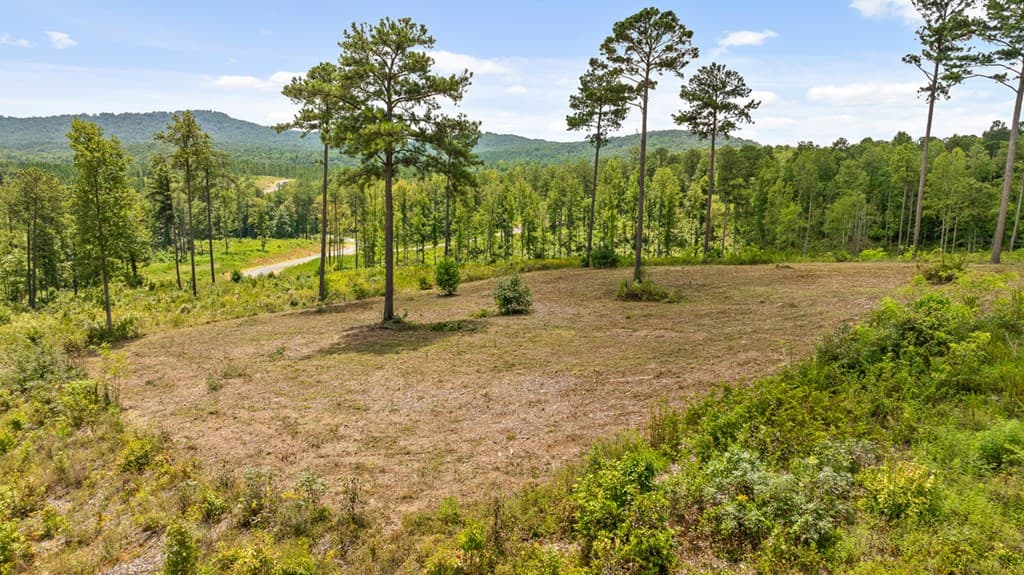 825 Oak Park Drive, Talking Rock GA 30175 - Photo